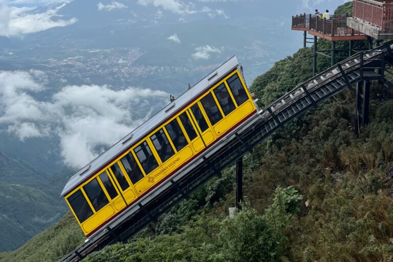 Sapa