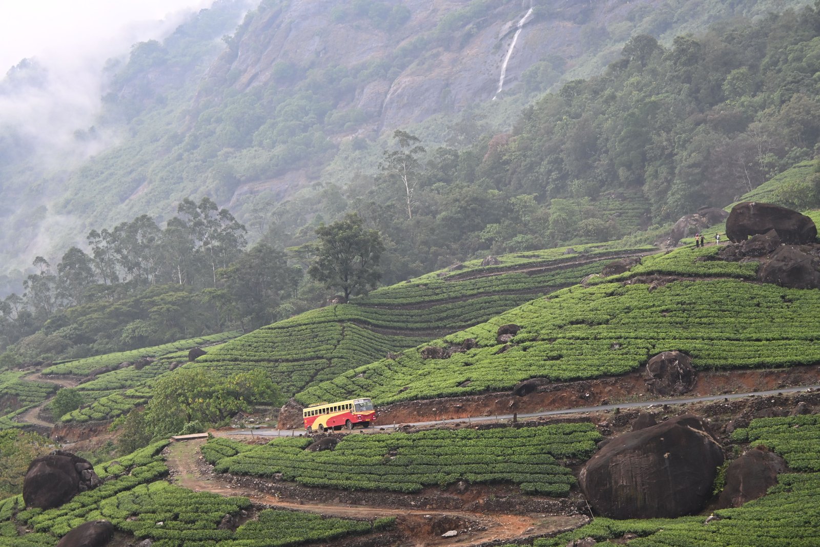 Budgeted Kerala 6 Days